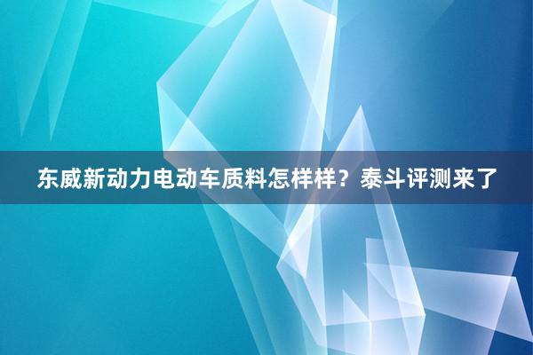 东威新动力电动车质料怎样样？泰斗评测来了