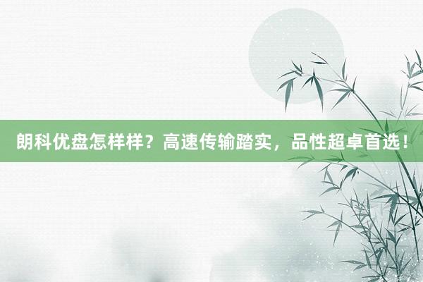 朗科优盘怎样样？高速传输踏实，品性超卓首选！